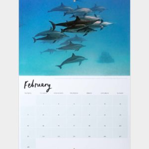 Calendrier 2022
